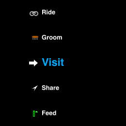 The care menu roller with the Visit row under the ring